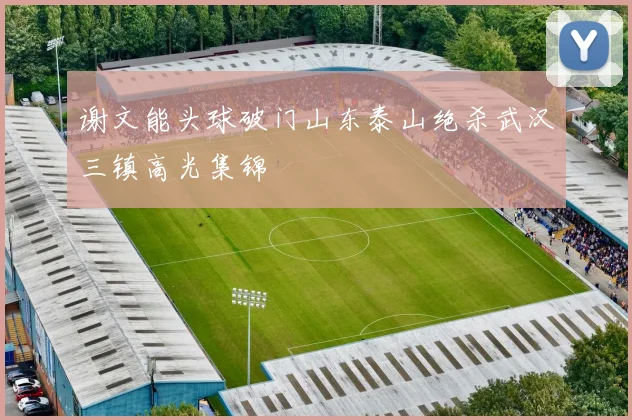 谢文能头球破门山东泰山绝杀武汉三镇高光集锦