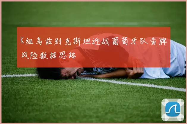 K组乌兹别克斯坦迎战葡萄牙队黄牌风险数据思路