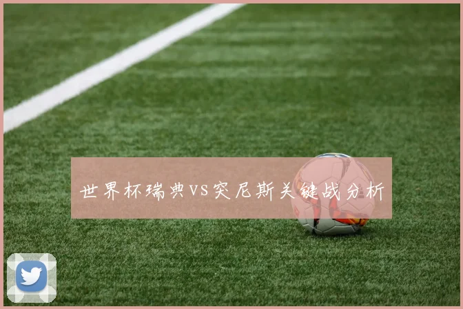 世界杯瑞典vs突尼斯关键战分析