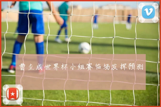 曹圭成世界杯小组赛临场发挥预测