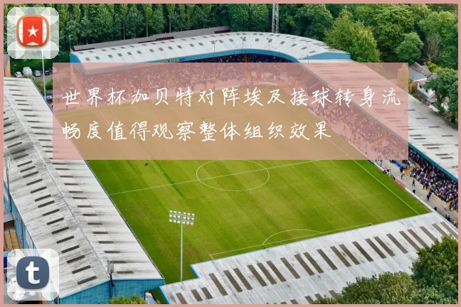 世界杯加贝特对阵埃及接球转身流畅度值得观察整体组织效果
