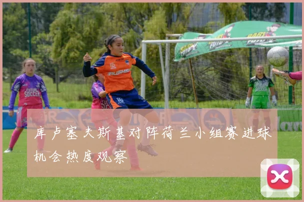 库卢塞夫斯基对阵荷兰小组赛进球机会热度观察