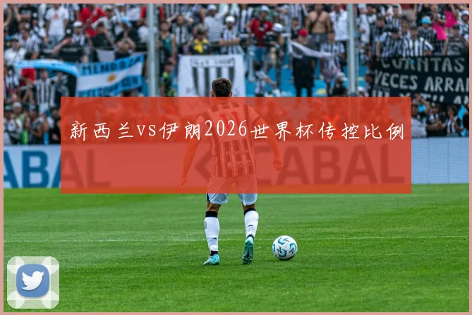 新西兰vs伊朗2026世界杯传控比例