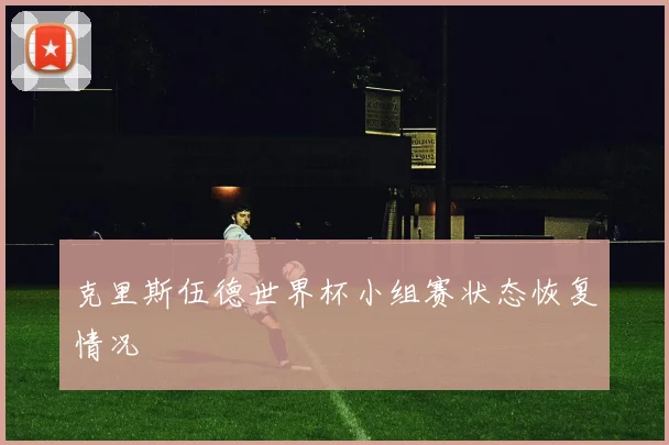 克里斯伍德世界杯小组赛状态恢复情况