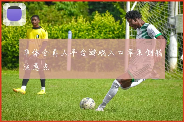 华体会真人平台游戏入口苹果侧载注意点