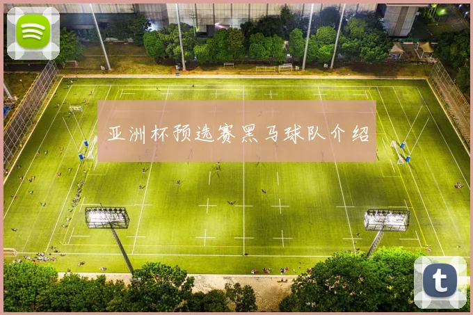 亚洲杯预选赛黑马球队介绍