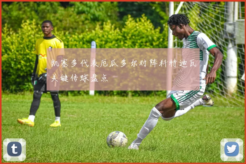 凯塞多代表厄瓜多尔对阵科特迪瓦关键传球盘点