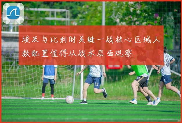 埃及与比利时关键一战核心区域人数配置值得从战术层面观察