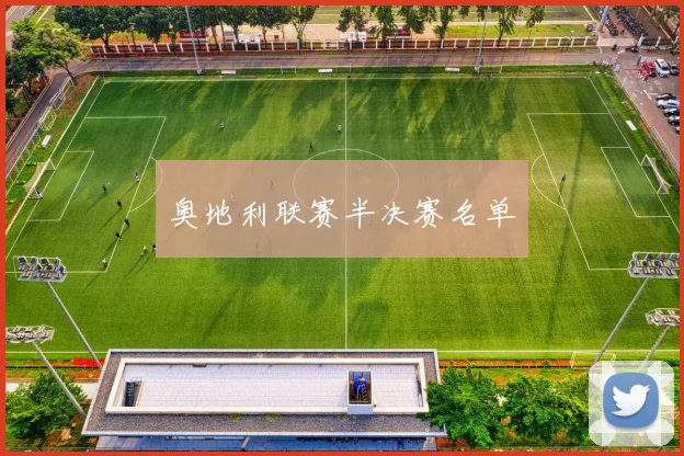 奥地利联赛半决赛名单