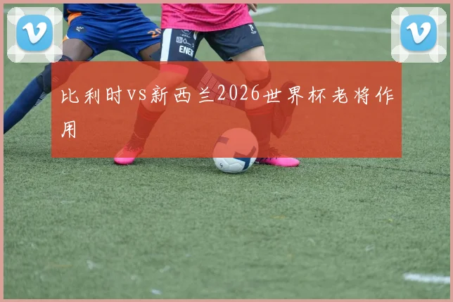 比利时vs新西兰2026世界杯老将作用